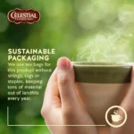 Celestial Seasonings Peppermint Caffeine-Free Herbal Tea Bag 20ct - Image 2