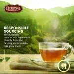 Celestial Seasonings Peppermint Caffeine-Free Herbal Tea Bag 20ct - Image 3