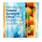 Glade Air Freshener Spray Costal Sunshine Citrus 8oz (2 Pack) - Image 2