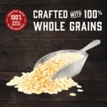 Kodiak Protein-Packed Power Cakes Buttermilk Flapjack Waffle Mix 20oz (24 Pack) - Image 3