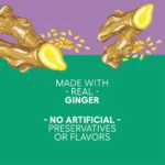 Newman's Own Sesame Ginger Salad Dressing, Low Fat, Rice Vinegar 16oz (4 Pack) - Image 3